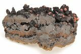 Small, Red Vanadinite Crystals on Manganese Oxide - Morocco #211991-1